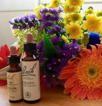 ¿Qué son las Flores de Bach?