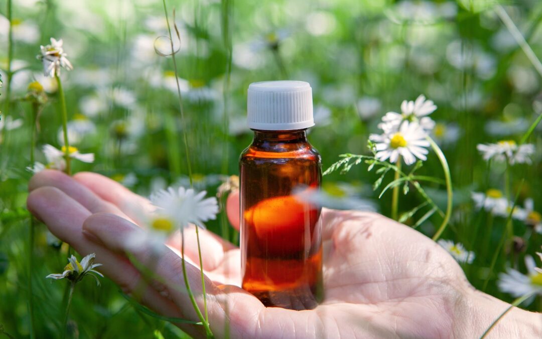 Terapia Floral… ¿Qué es?