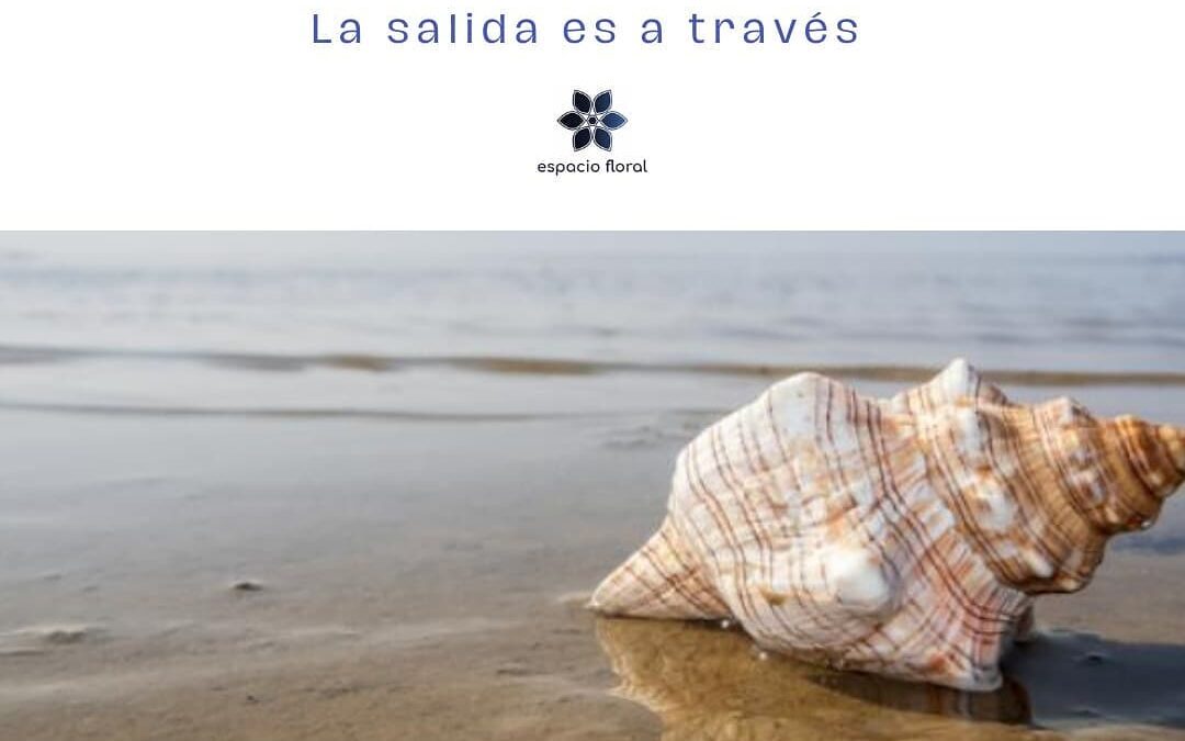 La salida es a través