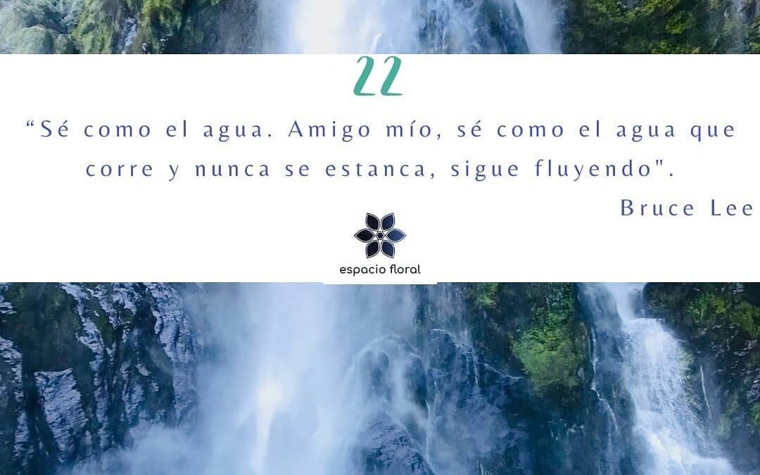 Sé como el agua, amigo mío…
