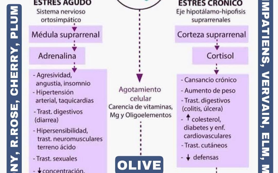 Biología de Estrés