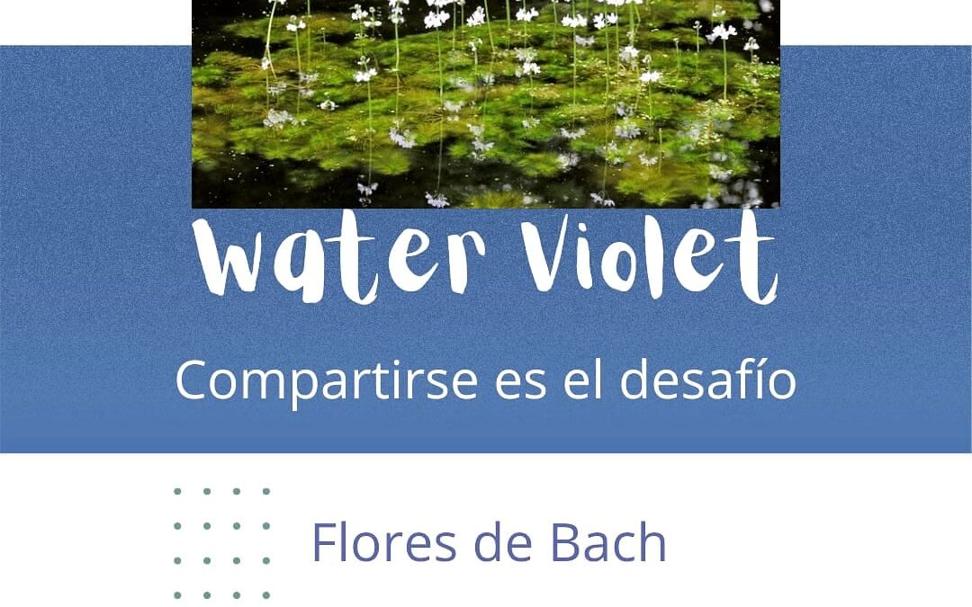Compartirse es el desafío