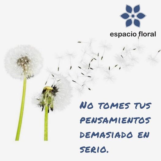 No tomes tus pensamientos demasiado en serio